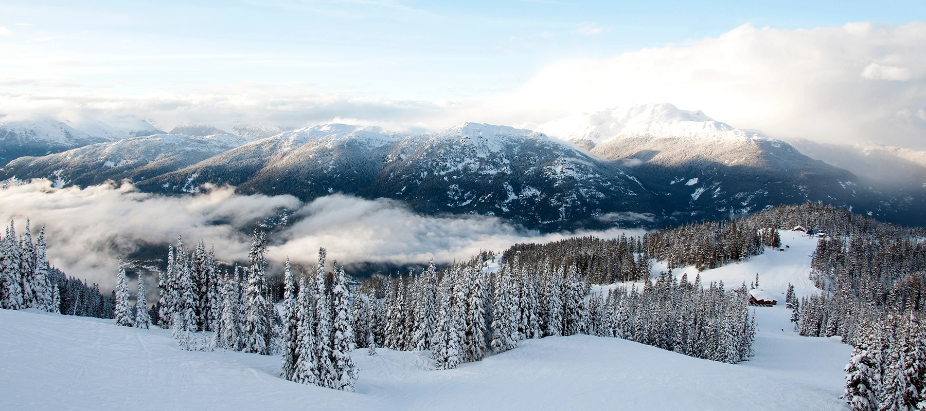 Whistler Limos