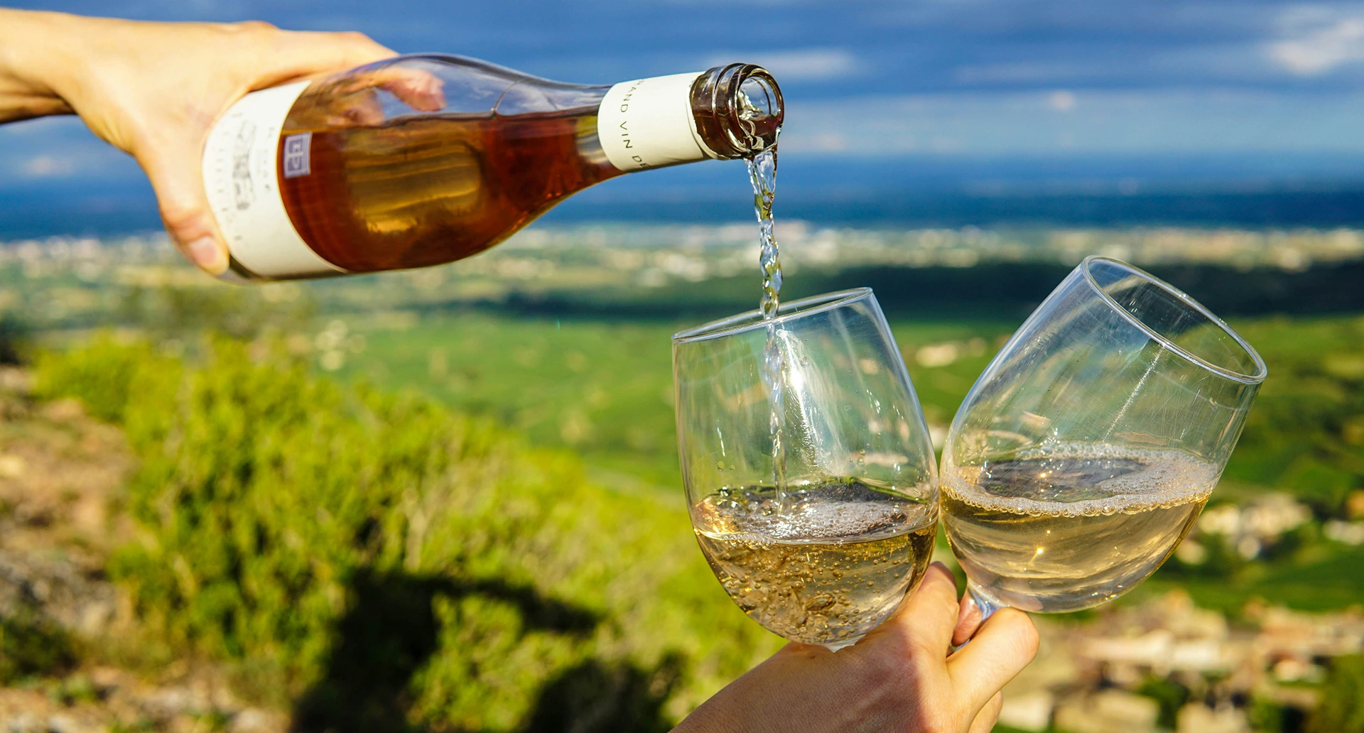 Wine Tours