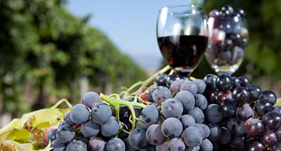 Private Wine Tours Kelowna